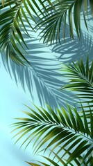Palm tree leaf backgrounds outdoors.