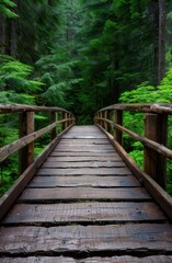 Enchanting forest path with wooden bridge