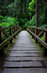 Fototapeta premium Serene wooden bridge through lush green forest