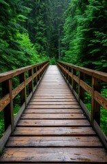 Wooden bridge through lush green forest
