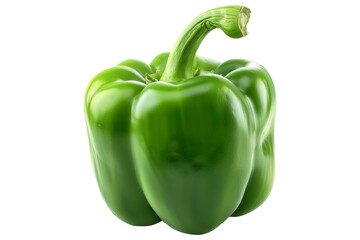 Green bell pepper with green stem isolated on a white background.