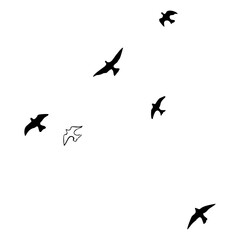 Pigeons are flying