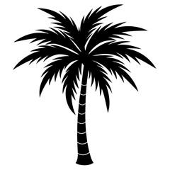 Obraz premium palm tree black silhouette art illustration