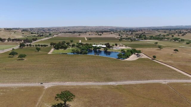 California Wine Country Paso Robles Vineyard Aerial Shot Reservoir Forward