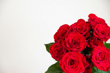 赤い薔薇