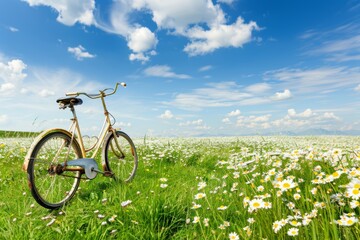 Vintage Bicycle in a Blooming Meadow Under a Blue Sky with Clouds