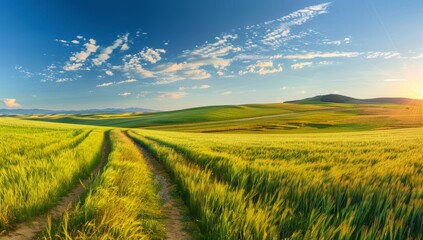 Scenic Landscape with Green Hills and a Dirt Path at Sunset