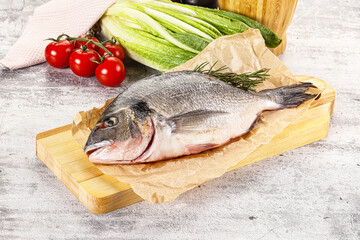 Raw dorada fish served rosemary