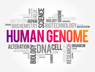 Human Genome is a complete set of nucleic acid sequences for humans, word cloud concept background