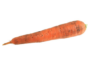 Fresh vegetables with carrots on a white background