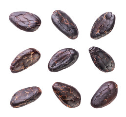 Set of cocoa beans close-up on white. Isolated
