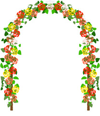 장미덩굴이 있는 아치문