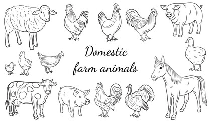 Beautiful set of realistic farm animals: pig, cow, horse, sheep, chicken, cock, rooster, goose, turkey, quail, duck in black. Hand drawn vector sketch illustration in doodle engraved vintage line art.
