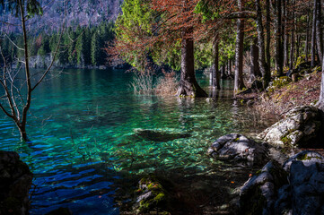 Morning in the Fusine lakes valley. Autumn reflections.