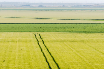 Obraz premium Pointe de l'Aiguillon, on the French Atlantic coast