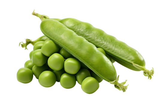 Fresh Green Pea Pods and Peas Ready to Eat on a White or Clear Surface PNG Transparent Background.