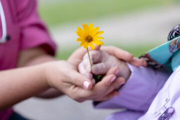 young carer holds hands of old woman, 93 years old, with a yellow flower