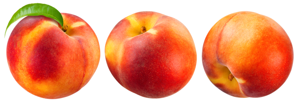Peach with leaf isolated png. Whole peach collection on transparent background. PNG format. Peach with leaves no background. Full depth of field.