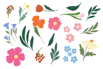 Vector collection of little flowers, vector, watercolor. Colorful and cute clip art illustrations, perfect for greeting cards, invitations, banners, posters, textile, covers.