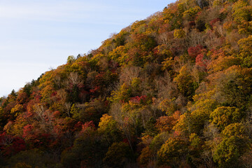 北海道十勝の紅葉風景