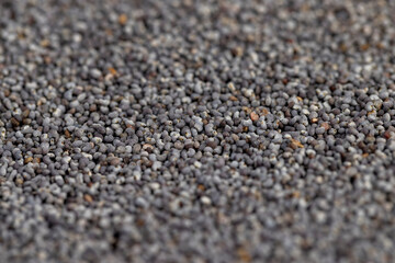 scattered poppy seeds for cooking