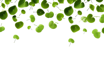 A Gentle Shower of Heart-Shaped Leaves in Mid-Air on a White or Clear Surface PNG Transparent Background.
