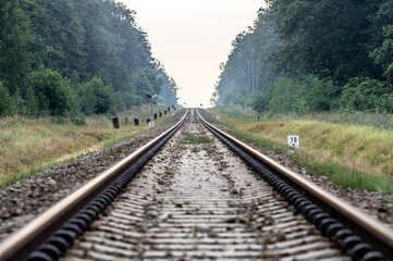 jednotorowa linia kolejowa bez słupów trakcji w lesie na polach © Henryk Niestrój