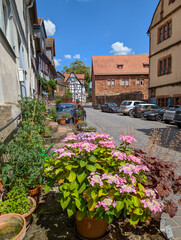 Fototapete bei efototapeten.de bestellen   