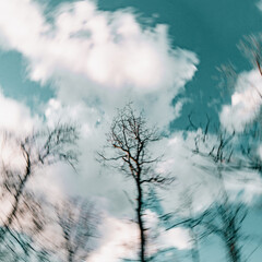 blurry image bare tree branches reaching towards the clouds against an aquamarine sky