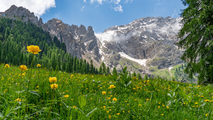 Das Latemar Gebirge in den Dolomiten im Frühling