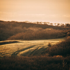 Fototapeta premium a green field surrounded by a forest with bare trees in the spring, during the golden hour, against the backdrop of an orange sky