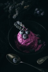 Elegant Blueberry Ice Cream with Fresh Berries and Spoon