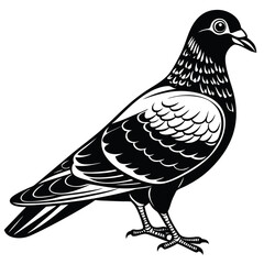 Peogom Vector 