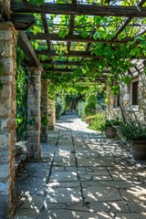 Green pathway with various plants