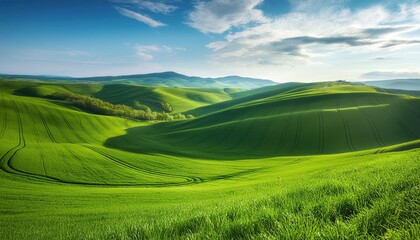 Obraz premium Fresh green fields in spring with a blue sky