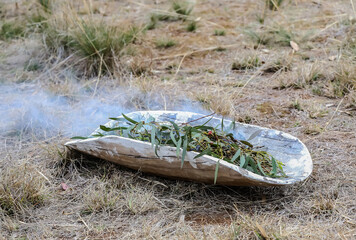 Aboriginal wooden ritual dish with green branches, Australian indigenous smoking ceremony, ritual...
