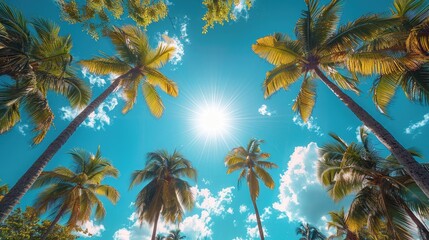 A sunny tropical background with palm trees and a blue sky. A view from below. High quality photo