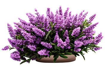 Fototapeta premium A Delicate Bouquet of Lavender Blooms, Captured in a Moment of Timeless Beauty on a White or Clear Surface PNG Transparent Background.