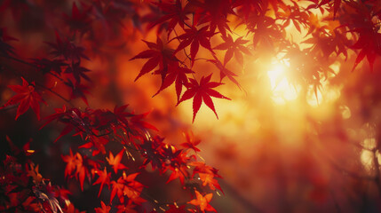 The day of the autumn equinox in Japan. symbolizing the balance of the day on the day of the autumnal equinox
