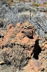 Scenic view of volcanic rock formations in desert during sunny day, Teide National Park, Tenerife