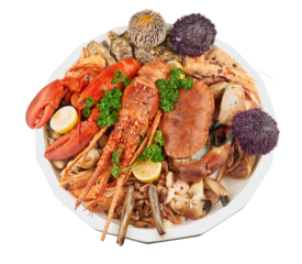 Big seafood platter on white background. View from above