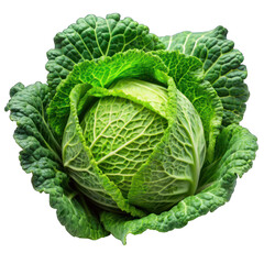 Cabbage On transparent background