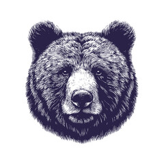 Fototapeta premium bear vector, bear silhouette