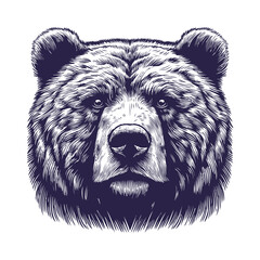 bear vector, bear silhouette