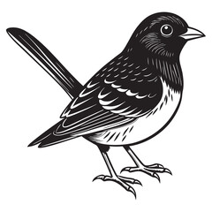 illustration of a eastern towhee bird