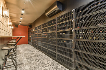 Modern Home Wine Cellar with Patterned Tile Floor