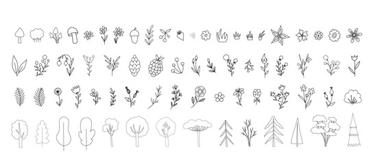 Collection of doodle style flower and tree cartoon. Cute vector illustration in flat trendy style with texture. For cards, posters, invitations