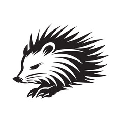 Porcupine Logo Vector Art, Icons, and Graphics on white background