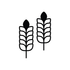 Wheat vector icon 