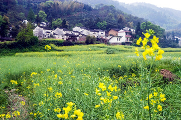 Fototapeta premium The ancient architectural complex of southern Anhui Province, China, is famous for its Hui style architecture. 